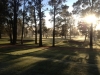 dubbo-golf-club-11th-green